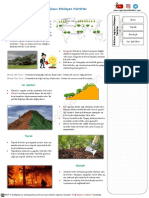 28 Cografya 10 Sinif Bitkiler Dagiliğini Etkileyen Faktorler PDF Ders Notlari Indir