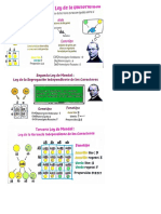 Leyes de Endel PDF