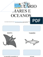 PT Vocabulario Oceano Mares