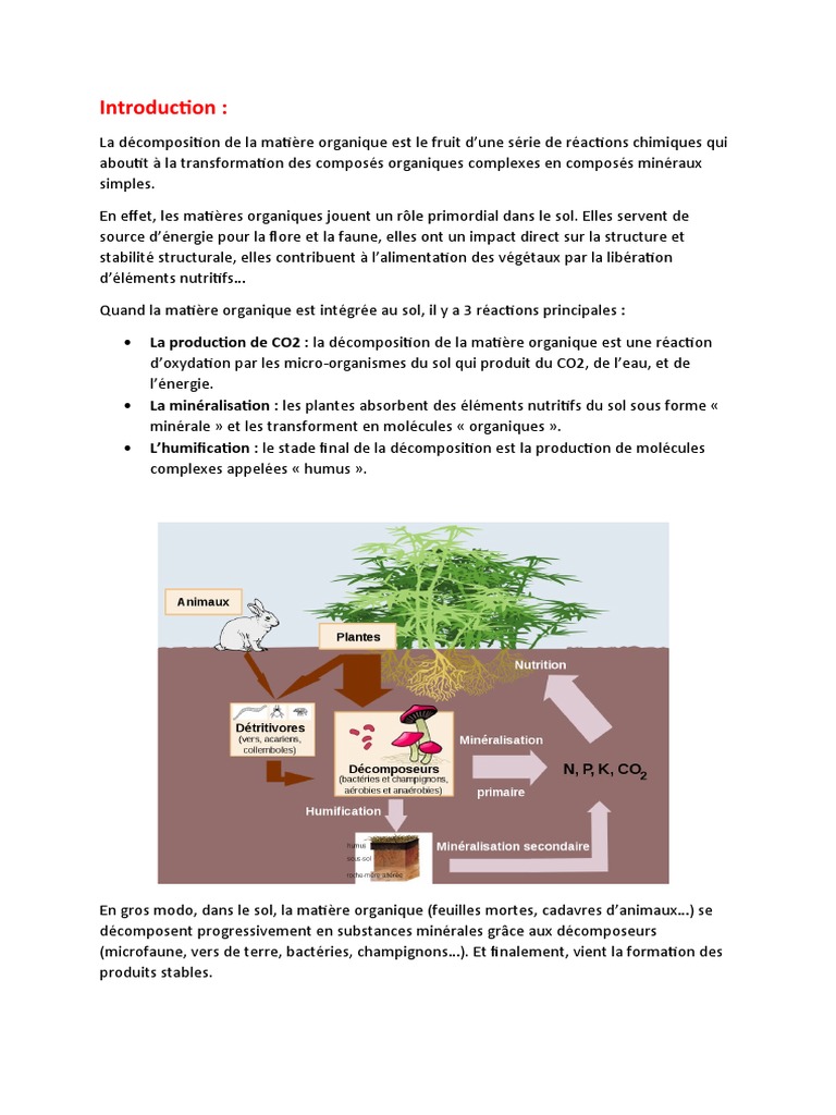 Humification et minéralisation du sol | PDF | Sol (pédologie) | Matière ...