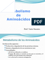 Metabolismo de Aminoácidos: Prof: Nerio Socorro