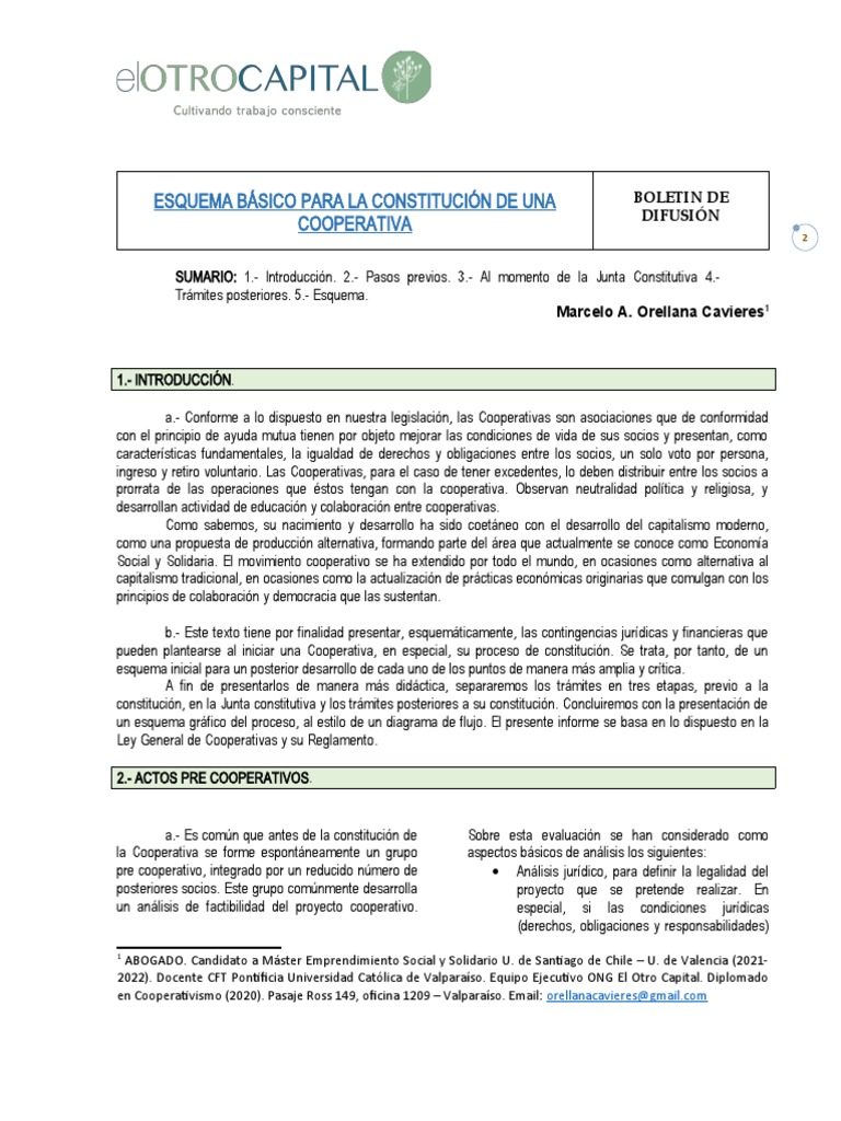 Esquema de Constitución de Una Cooperativa | PDF | Cooperativa | Economias