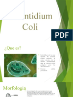 Balantidium Coli