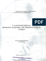 Las Endomicorrizas: Expresión Bioedáfica de Importancia en El Trópico