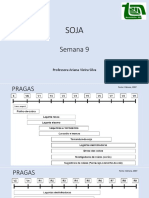 Soja - Semana 9