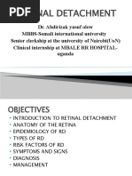 Retinal Disorders | PDF | Retina | Eye
