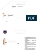 Tarea 34