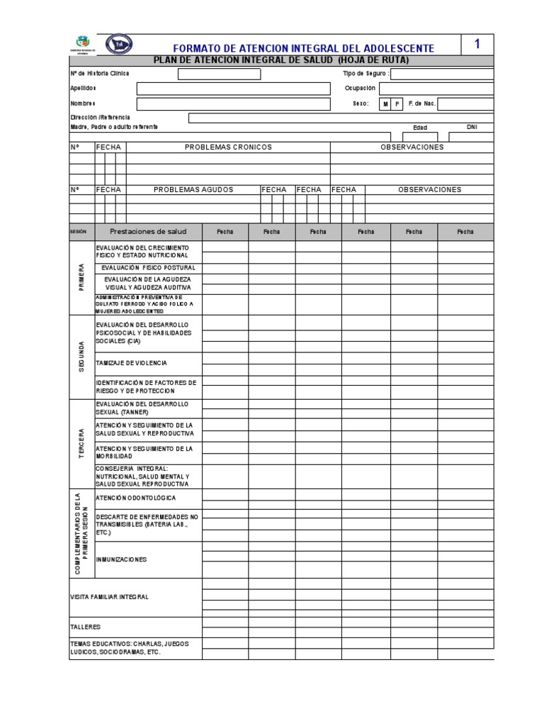 Formato de Atencion Integral Del Adolescente | PDF | Adolescencia ...