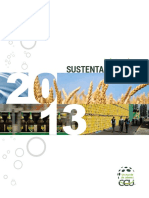 RS CCU 2013 PDF Medio Ambiental