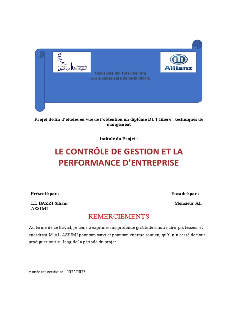 Contrôle de gestion et performance d'entreprise | PDF