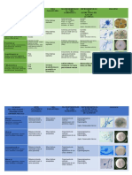 Estou A Partilhar o Ficheiro Atlas Completo 2 (1) Consigo