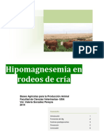 Hipomagenesemiaenbovinosdecra 140909094032 Phpapp01