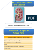 TTO CIRURGICO Cálculo Renal e Ureteral Redentor