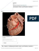 The Heart (Anatomy and Physiology)