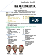 Desprendimiento Prematuro de Placenta