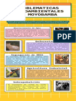 Problemas ambientales en Moyobamba: agua, deforestación, residuos y más