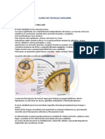 Curso de Tecnicas Capilares - Modulo 1