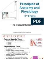 Principles of Anatomy and Physiology: The Muscular System