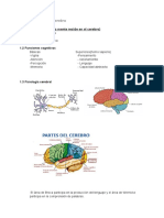 Tema 3.lenguaje y Cerebro-1