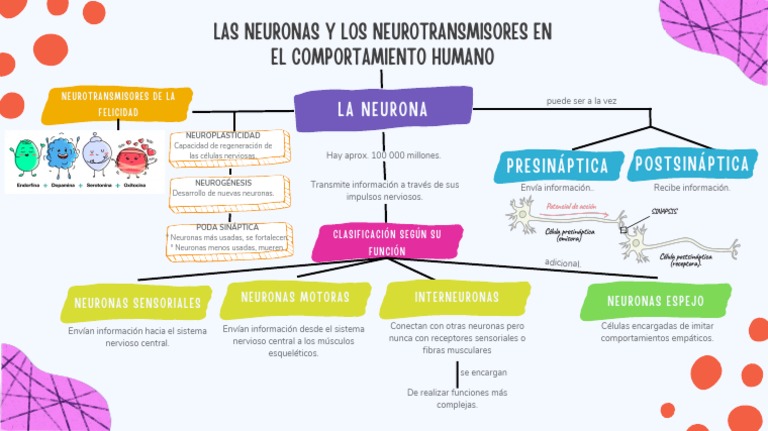 Neurotransmisores y Comportamiento Humano | PDF | Neurona | Sinapsis