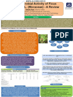 Ficus religiosa Antimicrobial Review