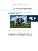 Por qué me identifico con el elefante