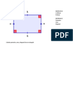 Ingresar Datos A (Altura) B (Base) Informacion Perimetro Area Diagonal