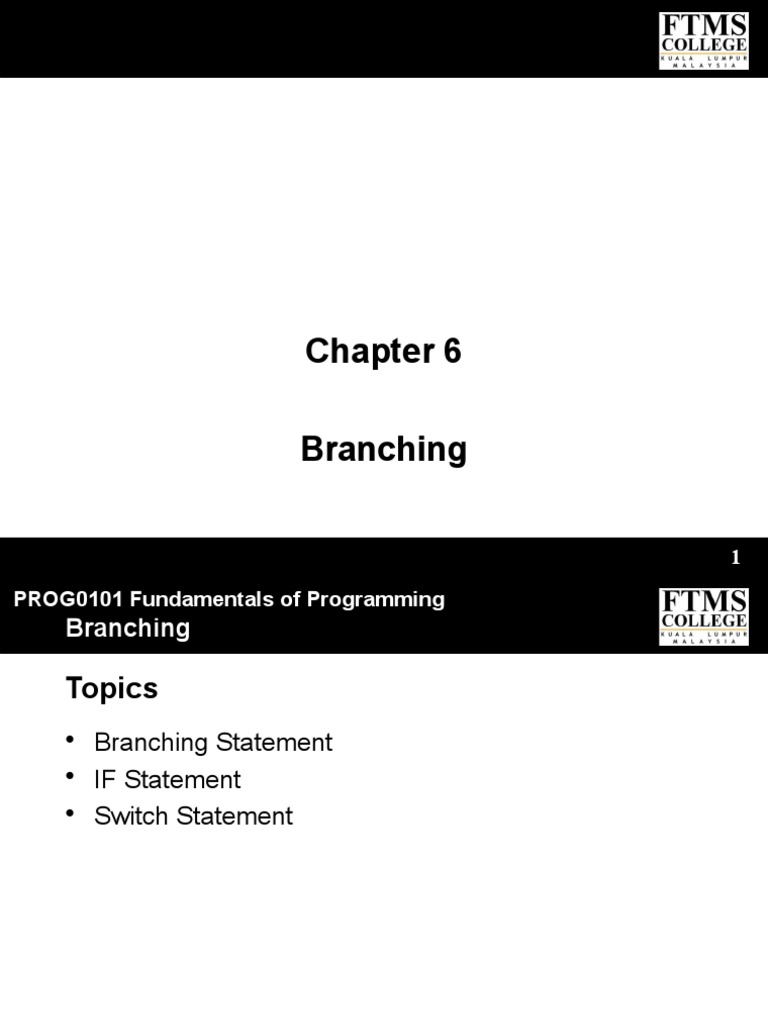 Branching PDF Computer Science Software Development