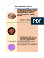 Glosario: Especialidades Kinésicas: Palabra Definición 1. Ampolla