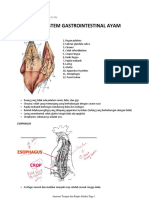 Sistem Gastrointestinal Ayam