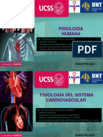 Fisiología Humana: Curso