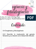 Ovogénesis y Foliculogénesis