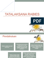 Tatalaksana Rabies