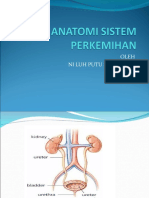 Sist Perkemihan