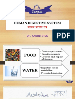 Human Digestive System (1) 20201125102132