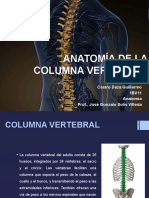 Anatomía de La Columna Vertebral
