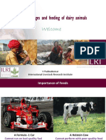Feeds, Forages and Feeding of Dairy Animals: Welcome