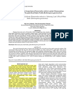 Pemanfaatan Filtrat Asam Jawa (Tamarindus Indica) Untuk Menurunkan Kadar Timbal (PB) Pada Ikan Bader Putih (Barbonymus Gonionotus)