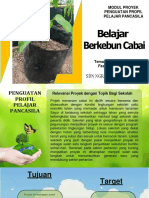 Belajar Berkebun Cabai: SDN Ngrayudan 3 Ngawi