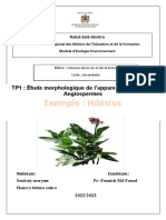 Étude Morphologique de L'appareil Végétatif Des