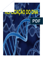 Replicaçao de Dna