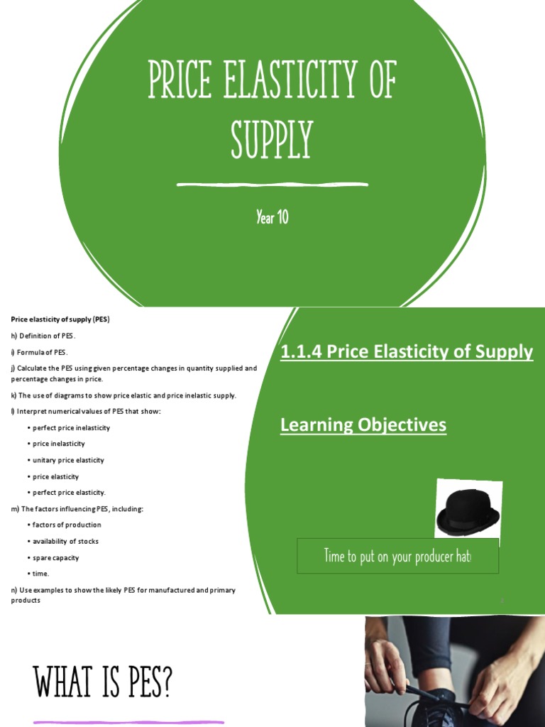 Understanding Price Elasticity of Supply | PDF | Price Elasticity Of ...