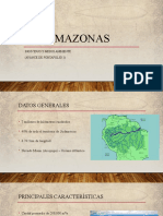 Río Amazonas: Individuo Y Medio Ambiente (Avance de Portafolio 1)