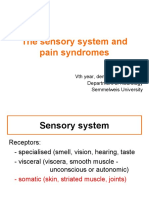 The Sensory System and Pain Syndromes: VTH Year, Dentistry, 30.09.2008 Department of Neurology Semmelweis University
