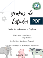 Ebook - Grupos de Estudo - Evzufg