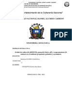 Informe Geoquimica....