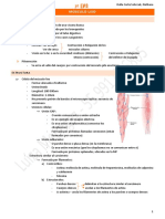 Músculo liso: funciones, estructura y estimulación