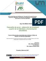 Cascarilla de Arroz: Obtención de Bioetanol A Partir de La Hidrólisis y Fermentación Simultánea