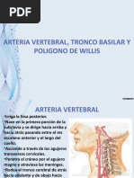 Anatomía y vascularización de la AICA | PDF | Anatomía humana | Anatomía