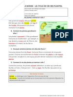 Questionner Le Monde - Le Cycle de Vie Des Plantes.: VIV Nte Ti0e Feuilles PL Nte